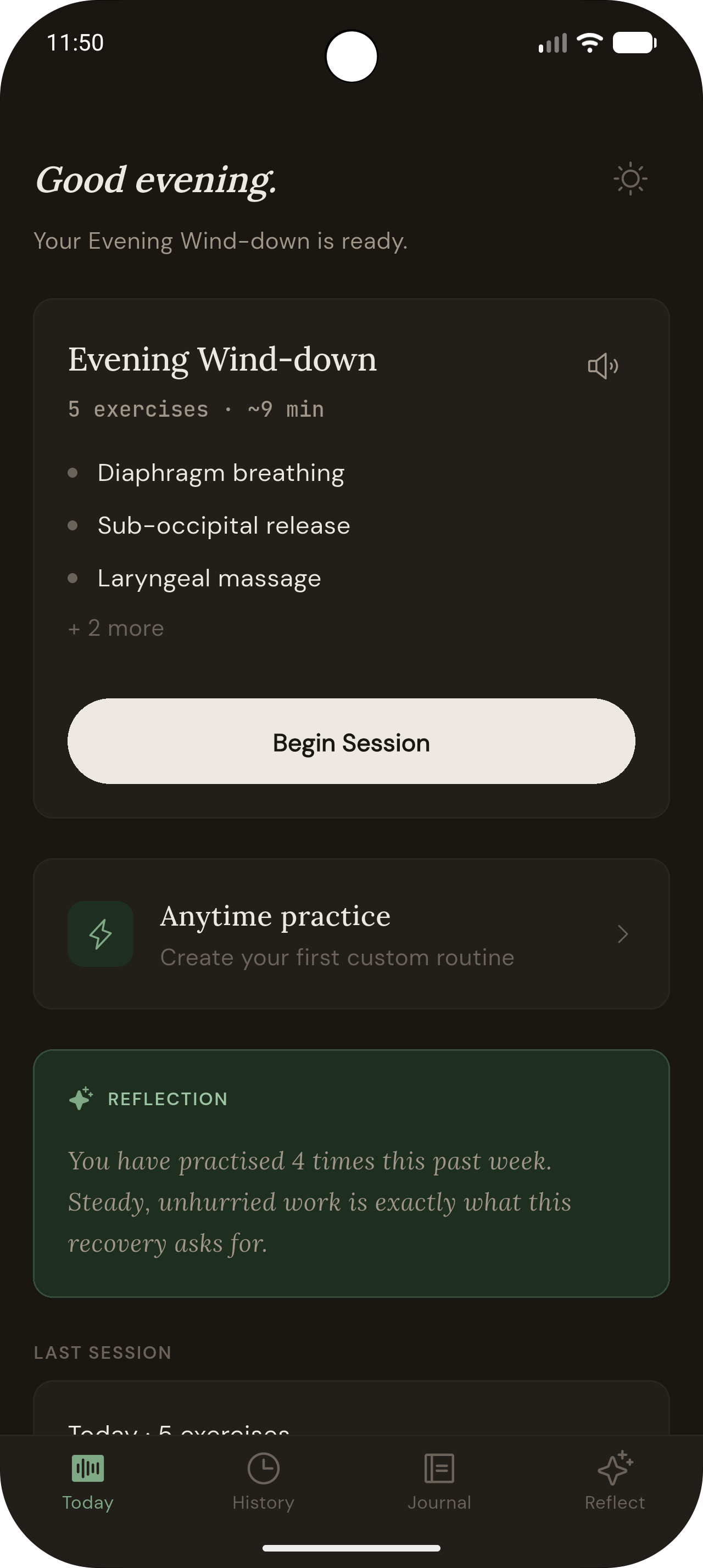 Vocal Rehab Companion — work-in-progress screenshot